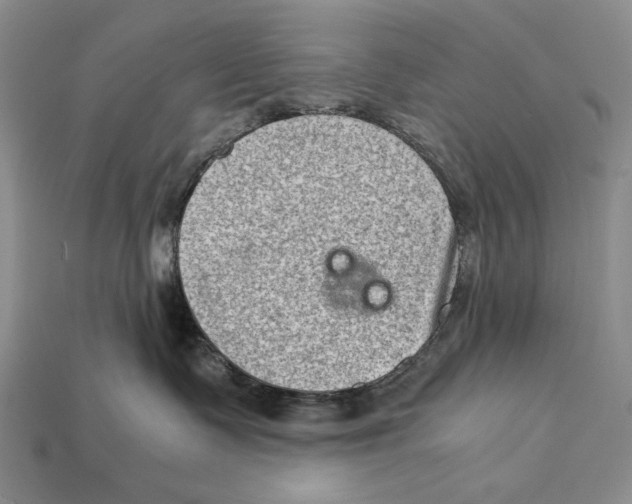 X0000112400335200909110934
