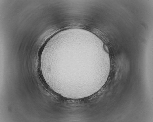 X0000112400338200909110934
