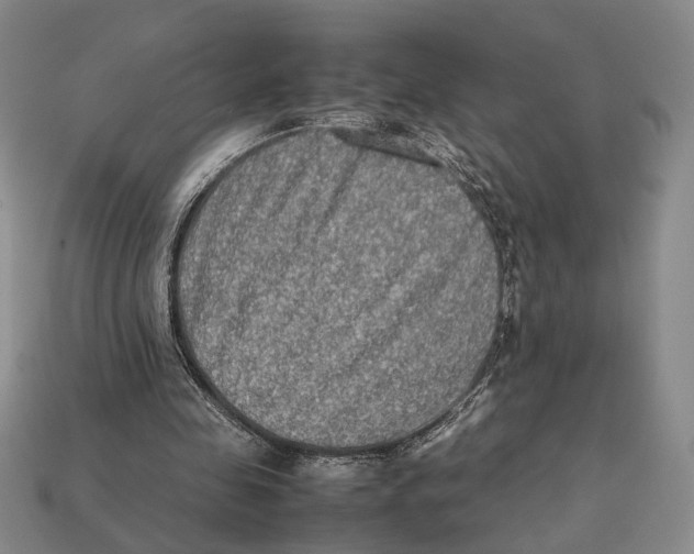 X0000112400341200909110934