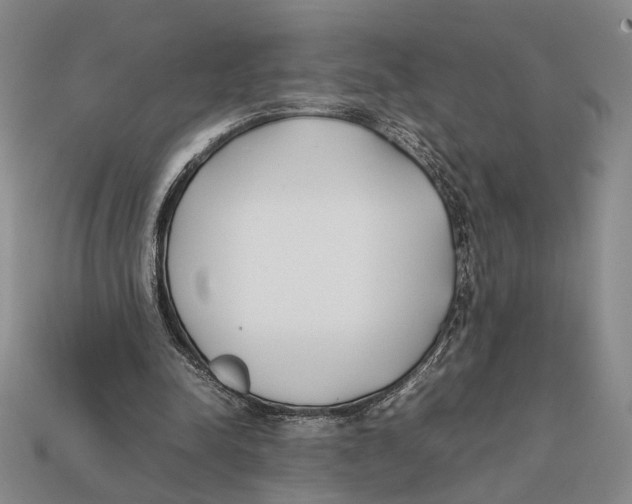 X0000112400342200909110934