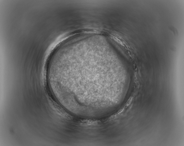 X0000112400343200909110934