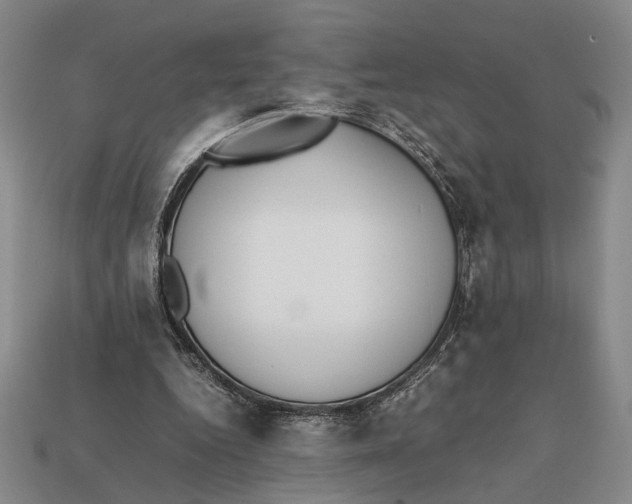 X0000112400344200909110934