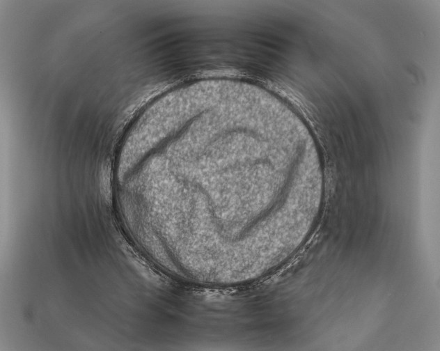 X0000112400345200909110934