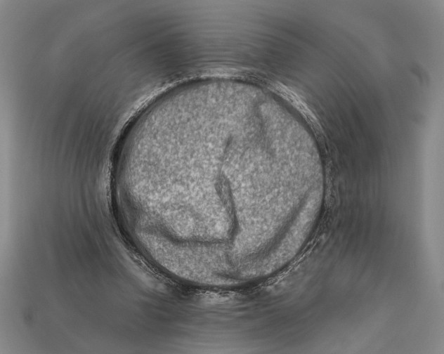 X0000112400346200909110934