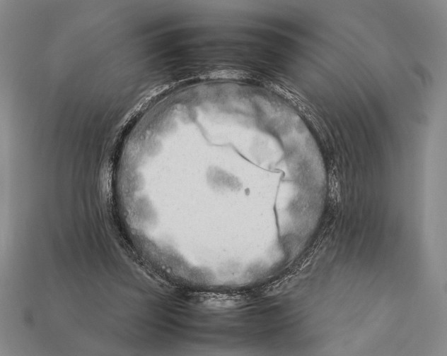 X0000112400347200909110934