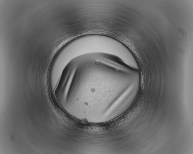 X0000112400348200909110934