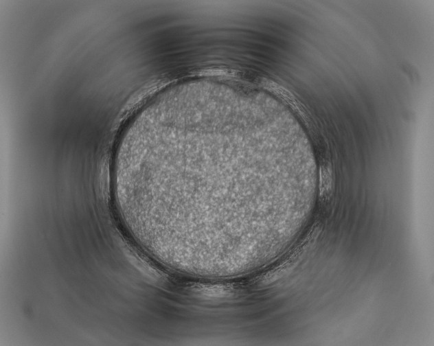 X0000112400349200909110934