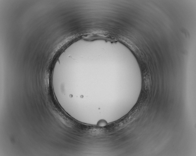 X0000112400350200909110934