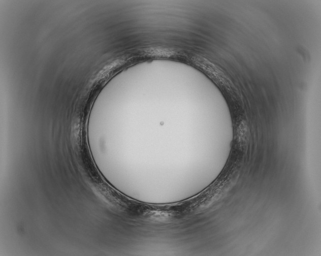X0000112400352200909110934