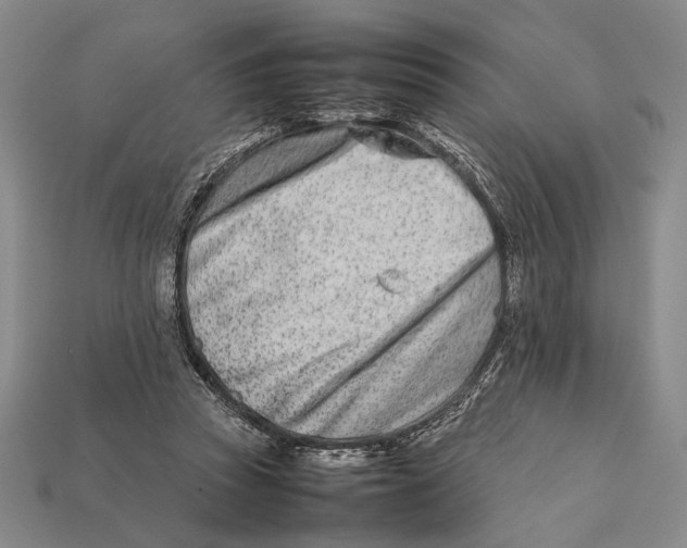 X0000112400353200909110934