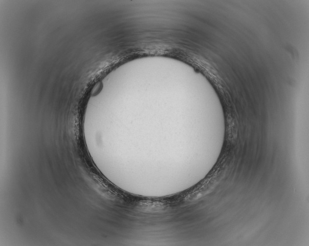 X0000112400354200909110934