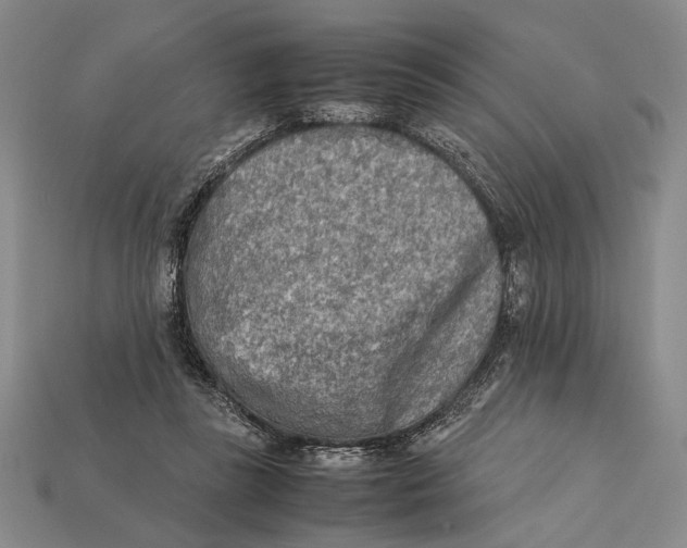 X0000112400355200909110934