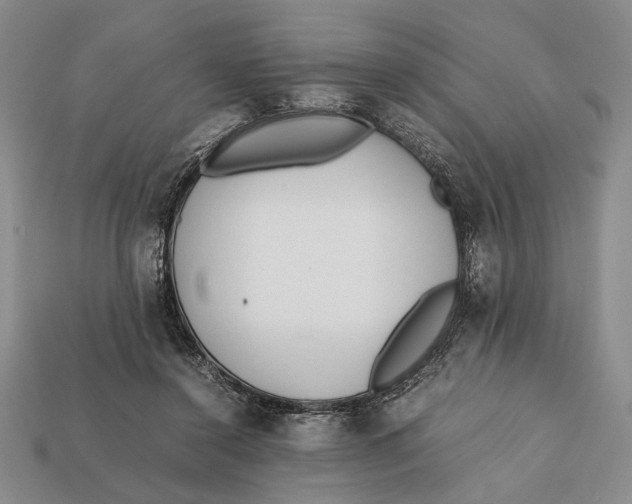 X0000112400356200909110934