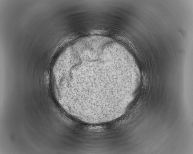 X0000112400357200909110934