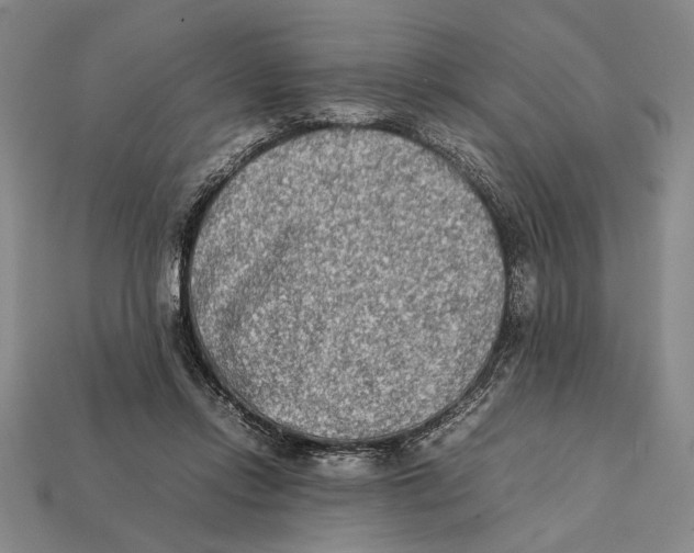 X0000112400358200909110934