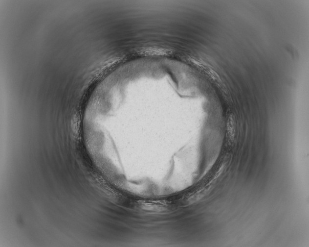 X0000112400359200909110934