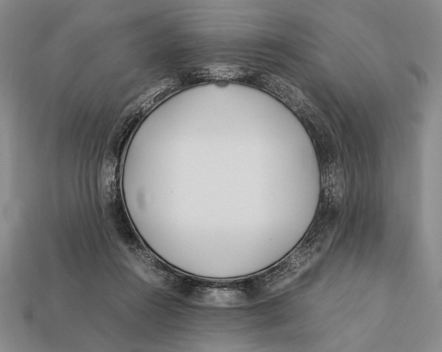 X0000112400360200909110934