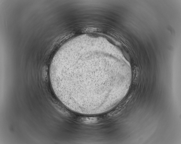 X0000112400361200909110934
