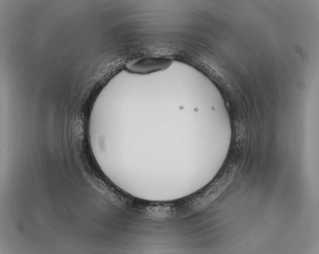 X0000112400362200909110934