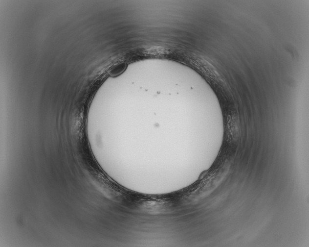 X0000112400364200909110934