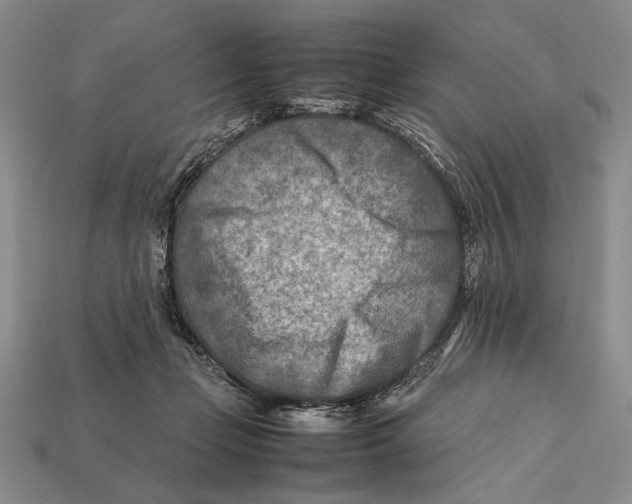 X0000112400365200909110934