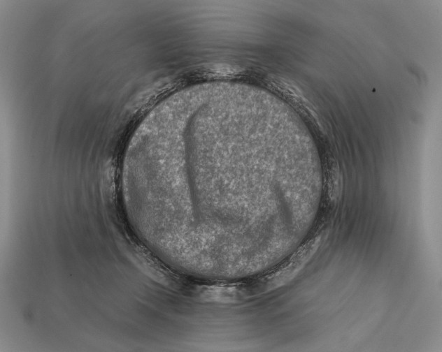 X0000112400366200909110934