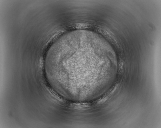 X0000112400367200909110934