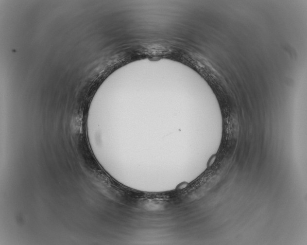 X0000112400368200909110934