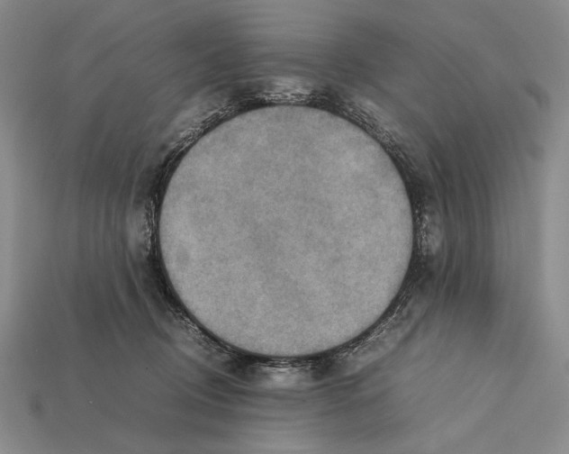 X0000112400370200909110934