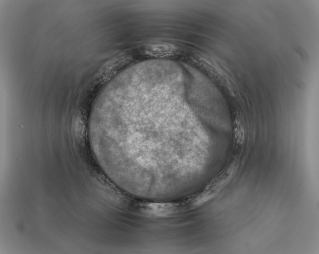 X0000112400371200909110934