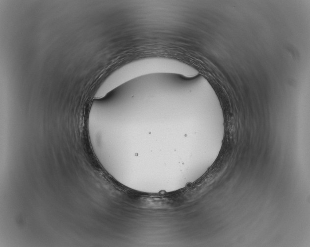 X0000112400372200909110934