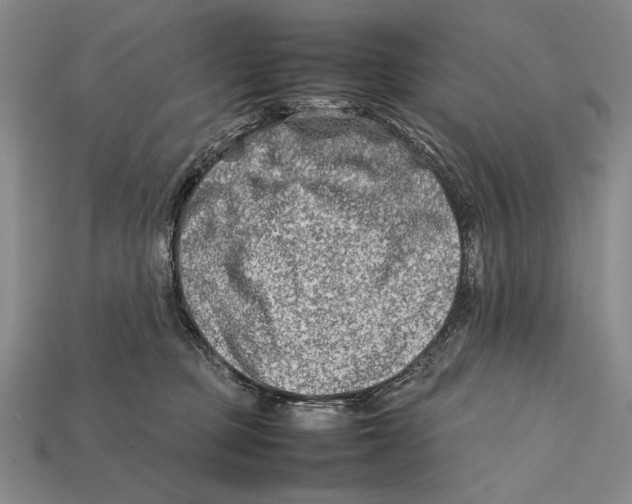 X0000112400373200909110934