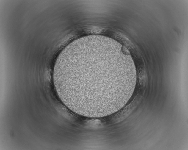 X0000112400374200909110934