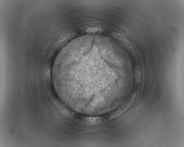 X0000112400375200909110934