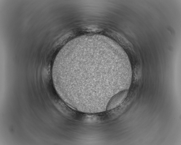 X0000112400376200909110934