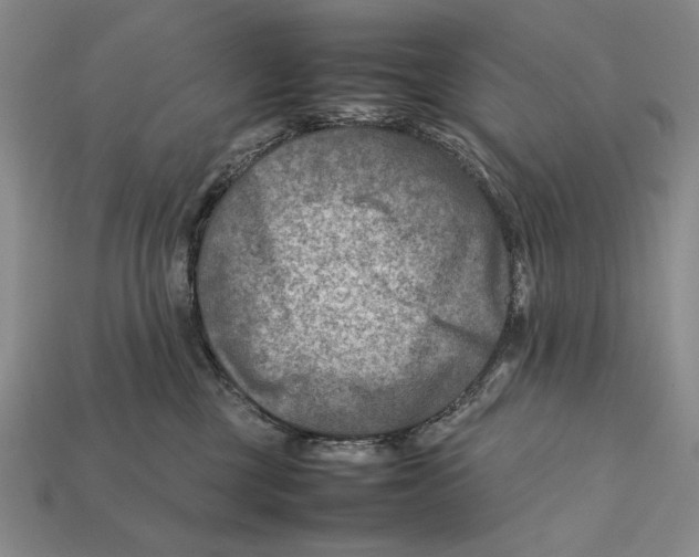 X0000112400377200909110934