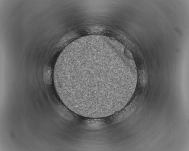 X0000112400378200909110934