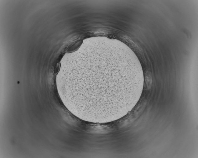 X0000112400379200909110934