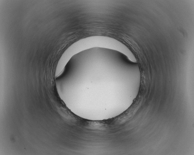 X0000112400380200909110934