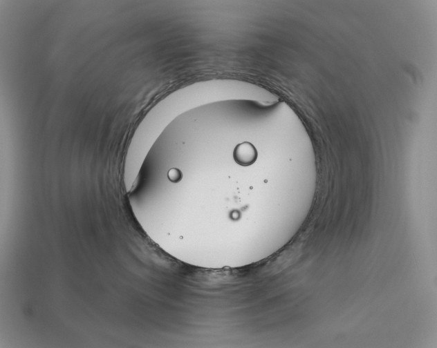 X0000112400384200909110934