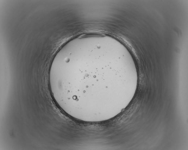 X0000112400385200909110934