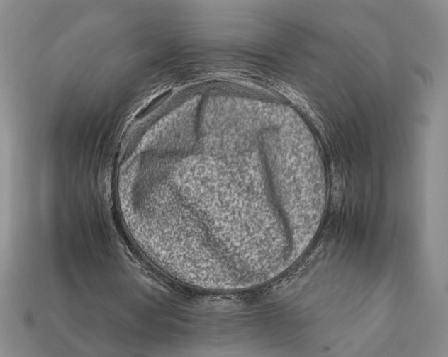 X0000112400386200909110934