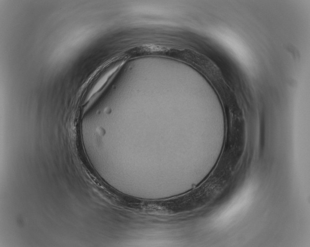 X0000112400387200909110934