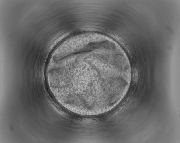 X0000112400390200909110934
