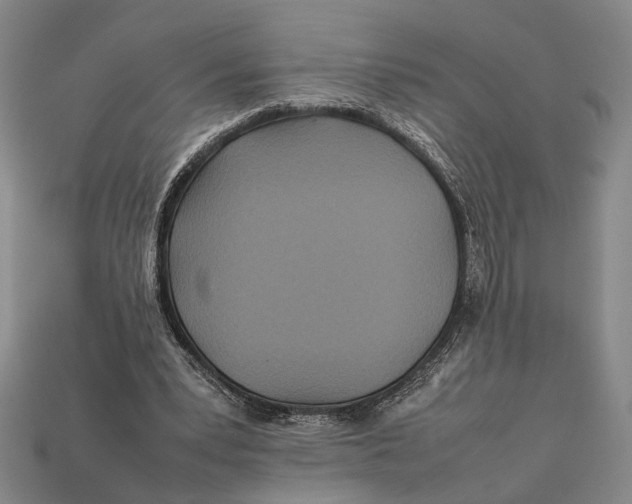 X0000112400391200909110934