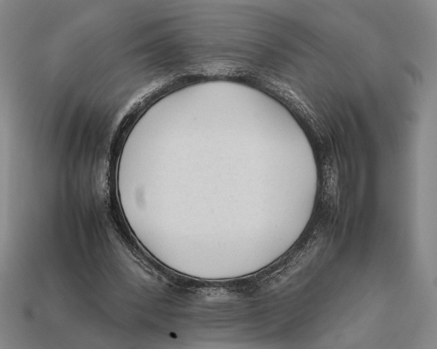 X0000112400392200909110934