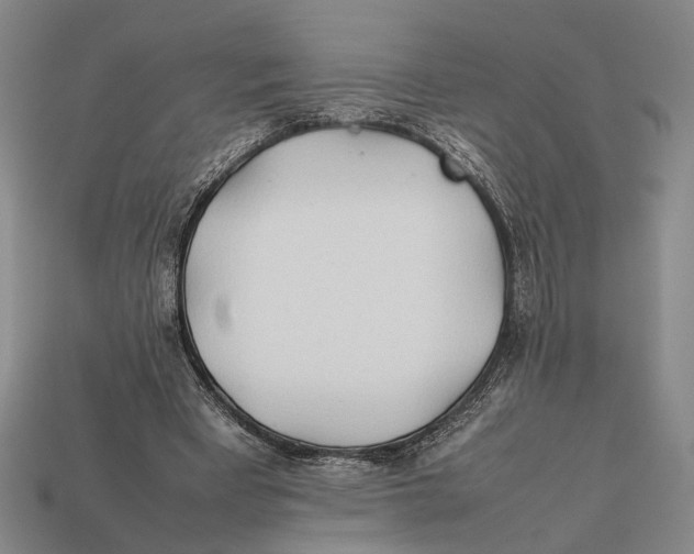 X0000112400393200909110934