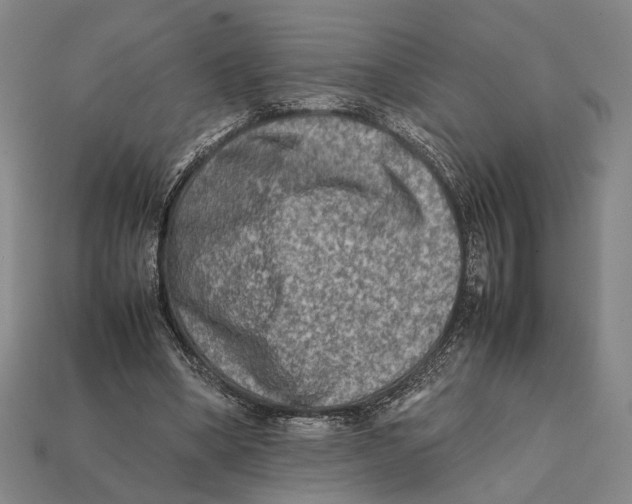X0000112400394200909110934