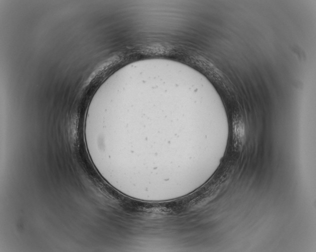 X0000112400396200909110934