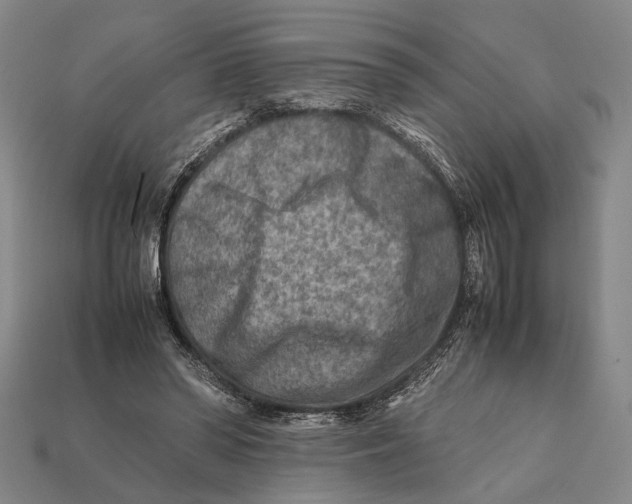 X0000112400398200909110933